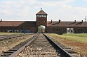 a 061